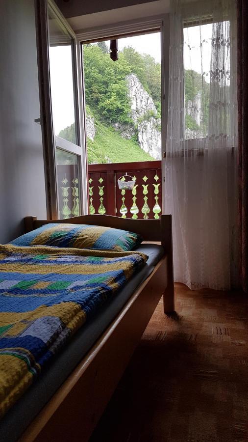 Gospodarstwo Agroturystyczne Dolina Zachwytu Suloszowa エクステリア 写真